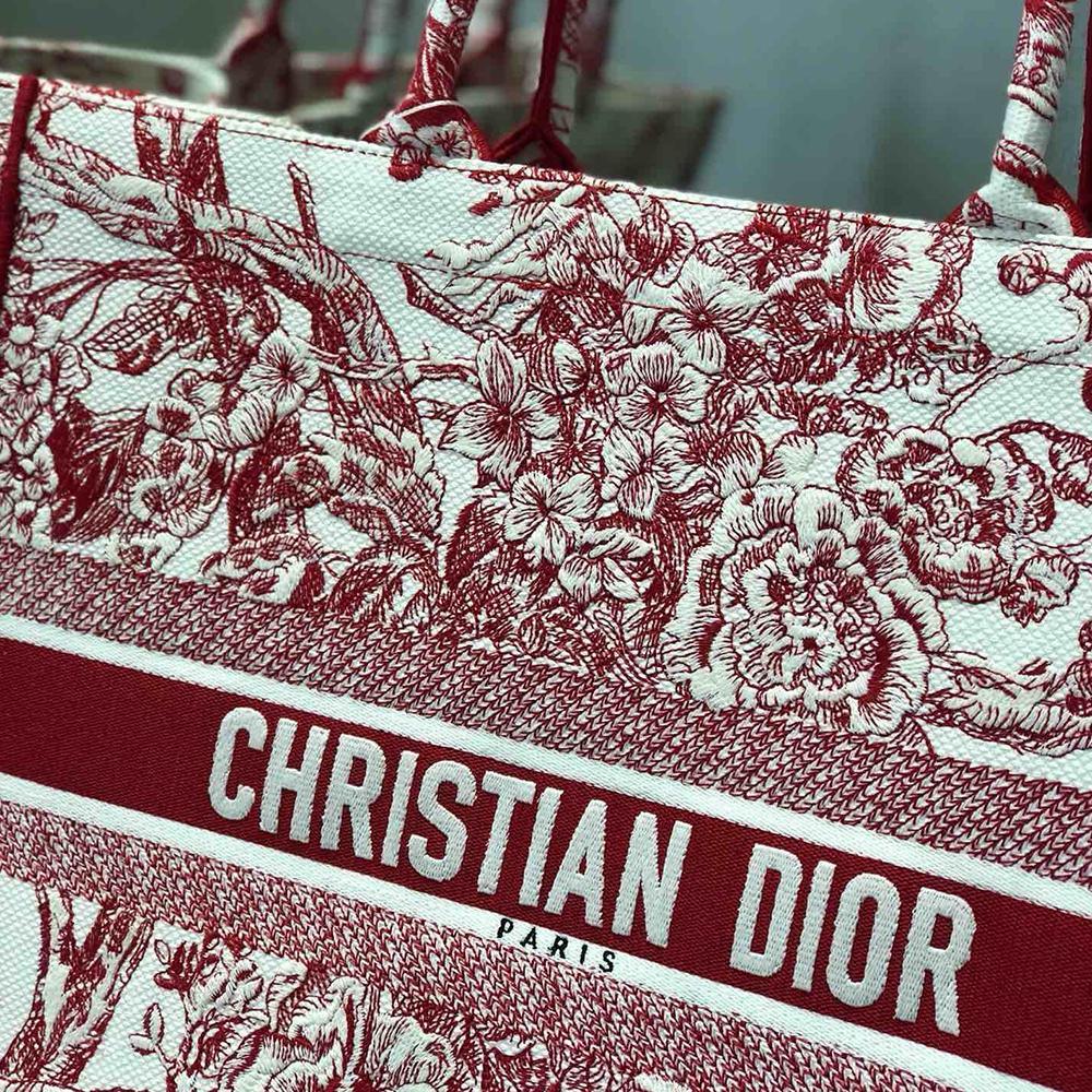Dior Book Tote
