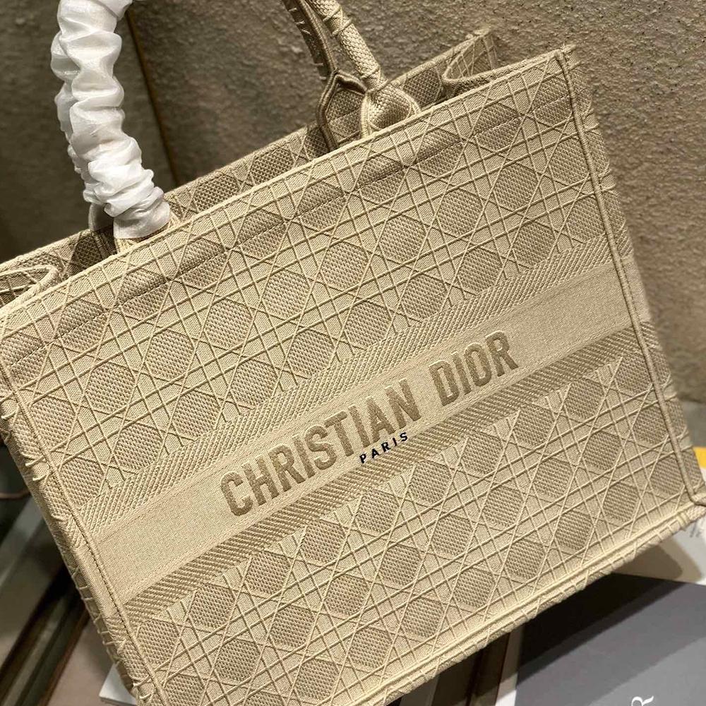 Dior Book Tote