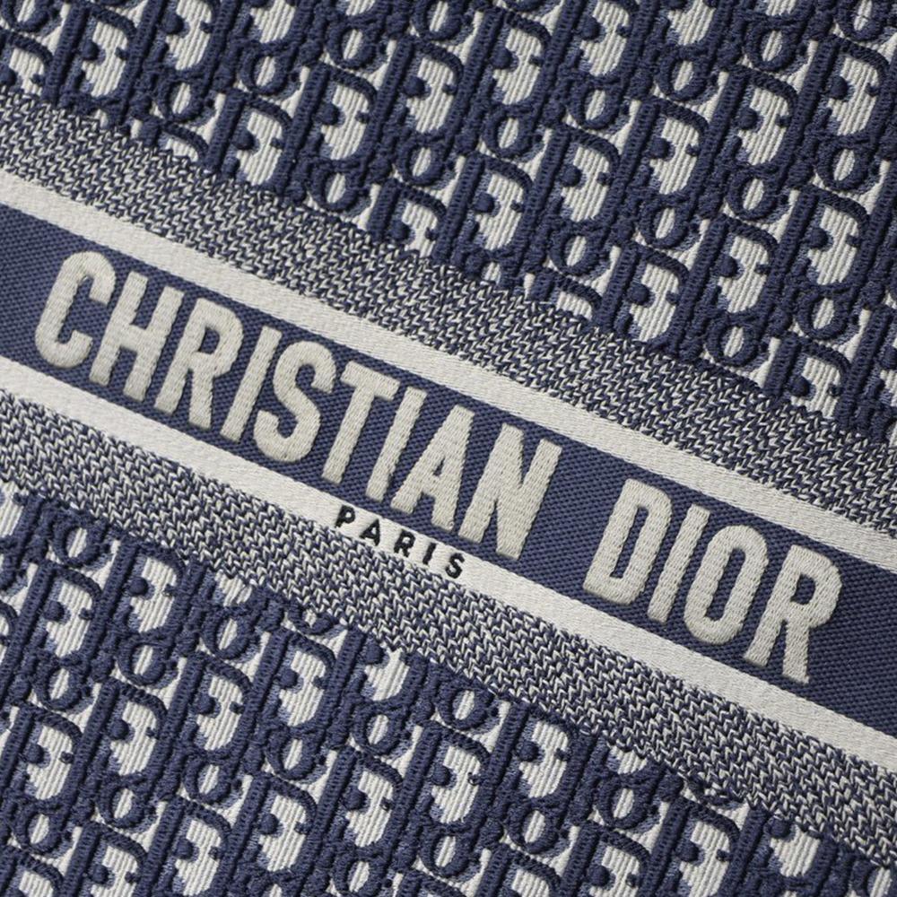 Dior Book Tote Blue