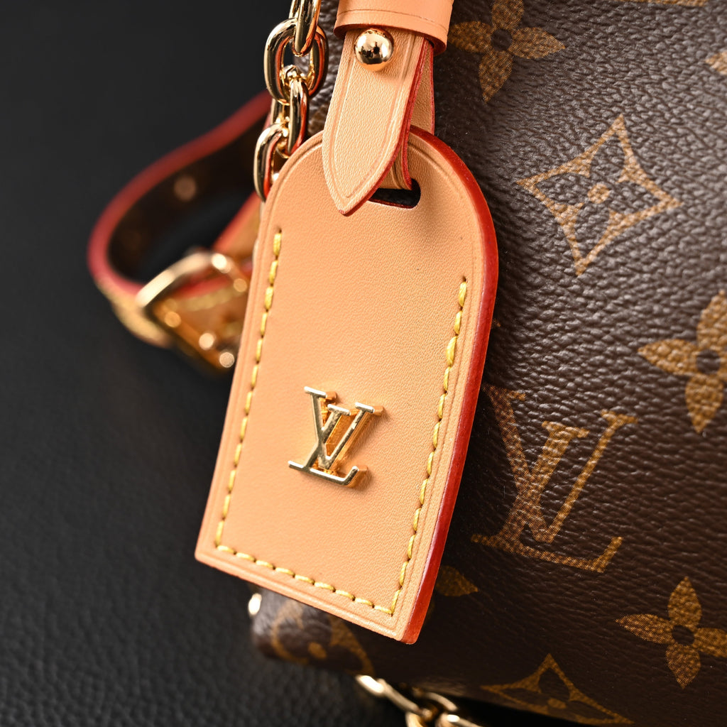 Louis Vuitton CarryAll BB Monogram Canvas Shoulder Bag – Classic Brown (M13014)