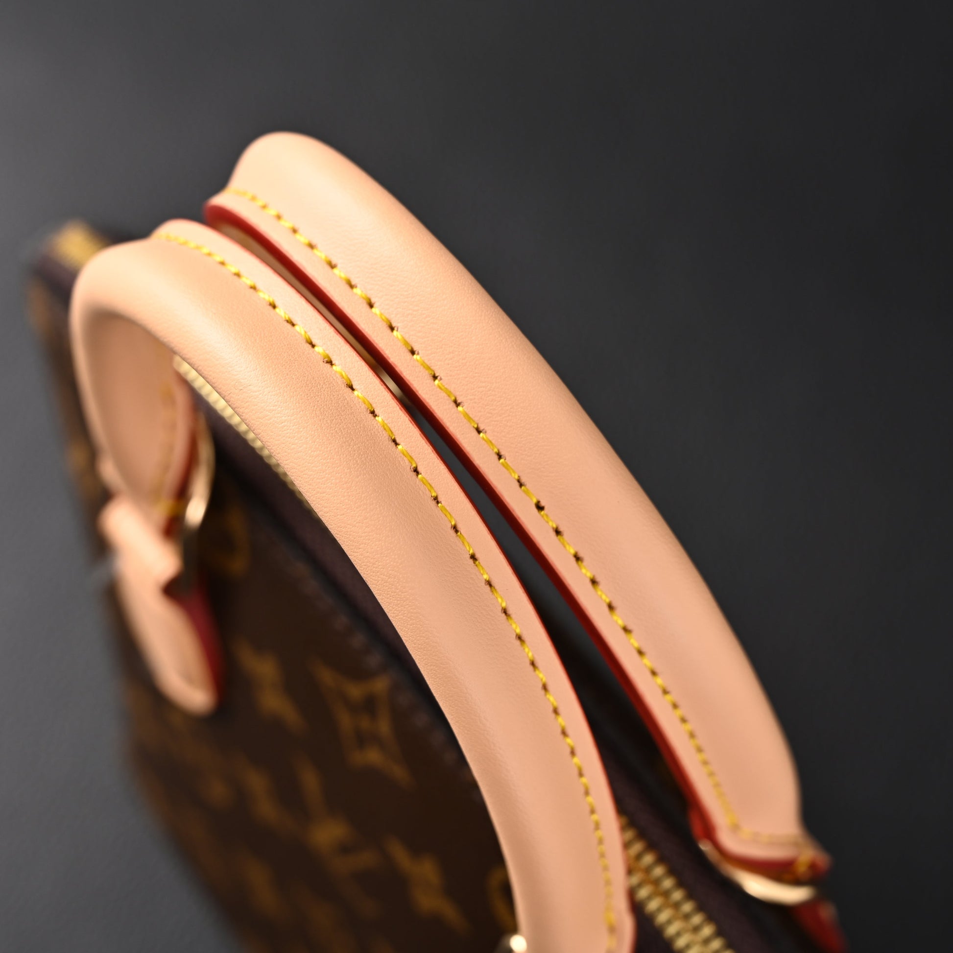 Louis Vuitton Speedy 30 Handbag – Monogram Canvas with Leather Trim