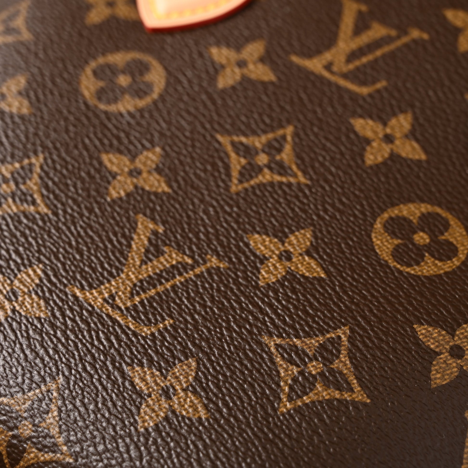 Louis Vuitton Speedy 30 Handbag – Monogram Canvas with Leather Trim