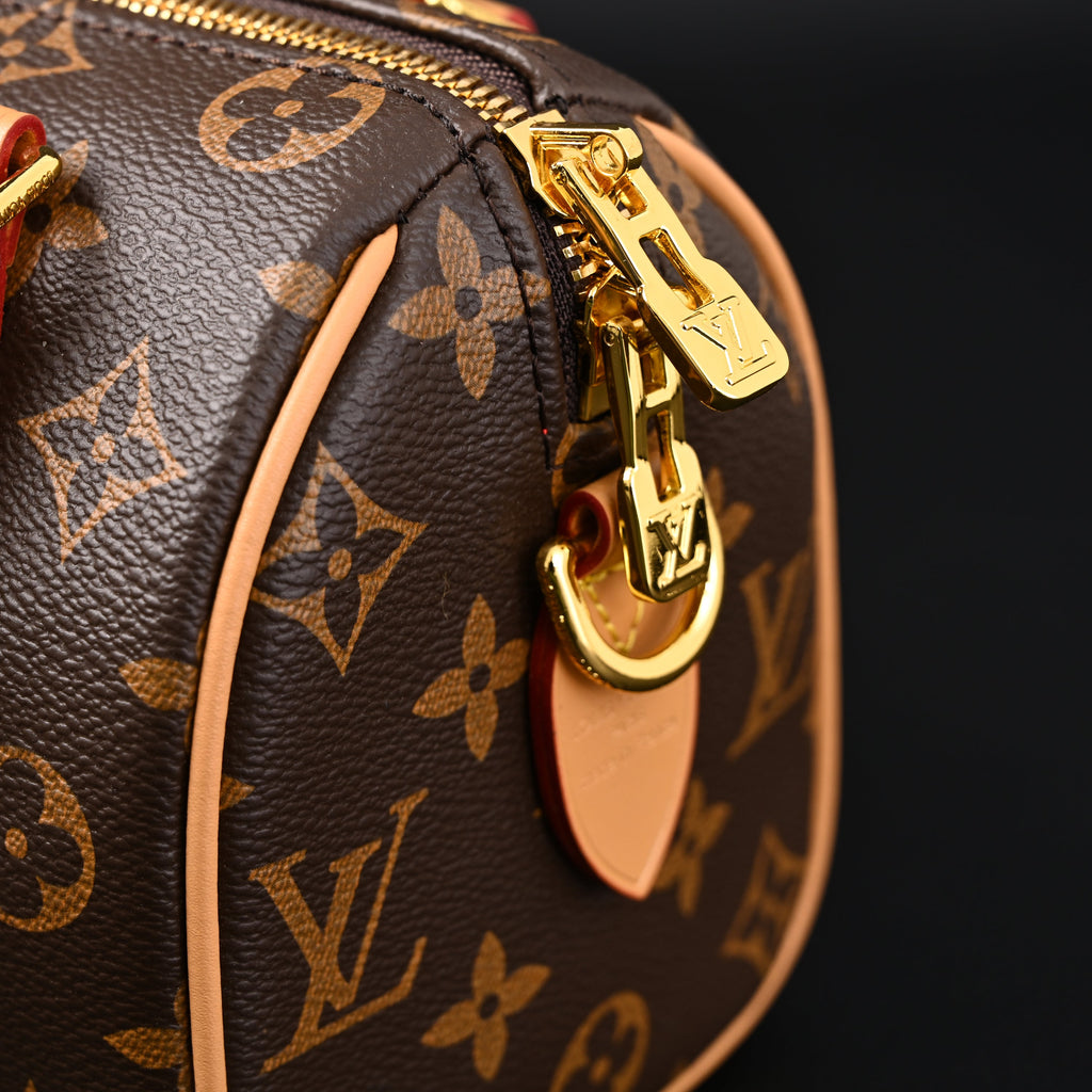 Louis Vuitton Speedy Bandoulière 25 Monogram Canvas