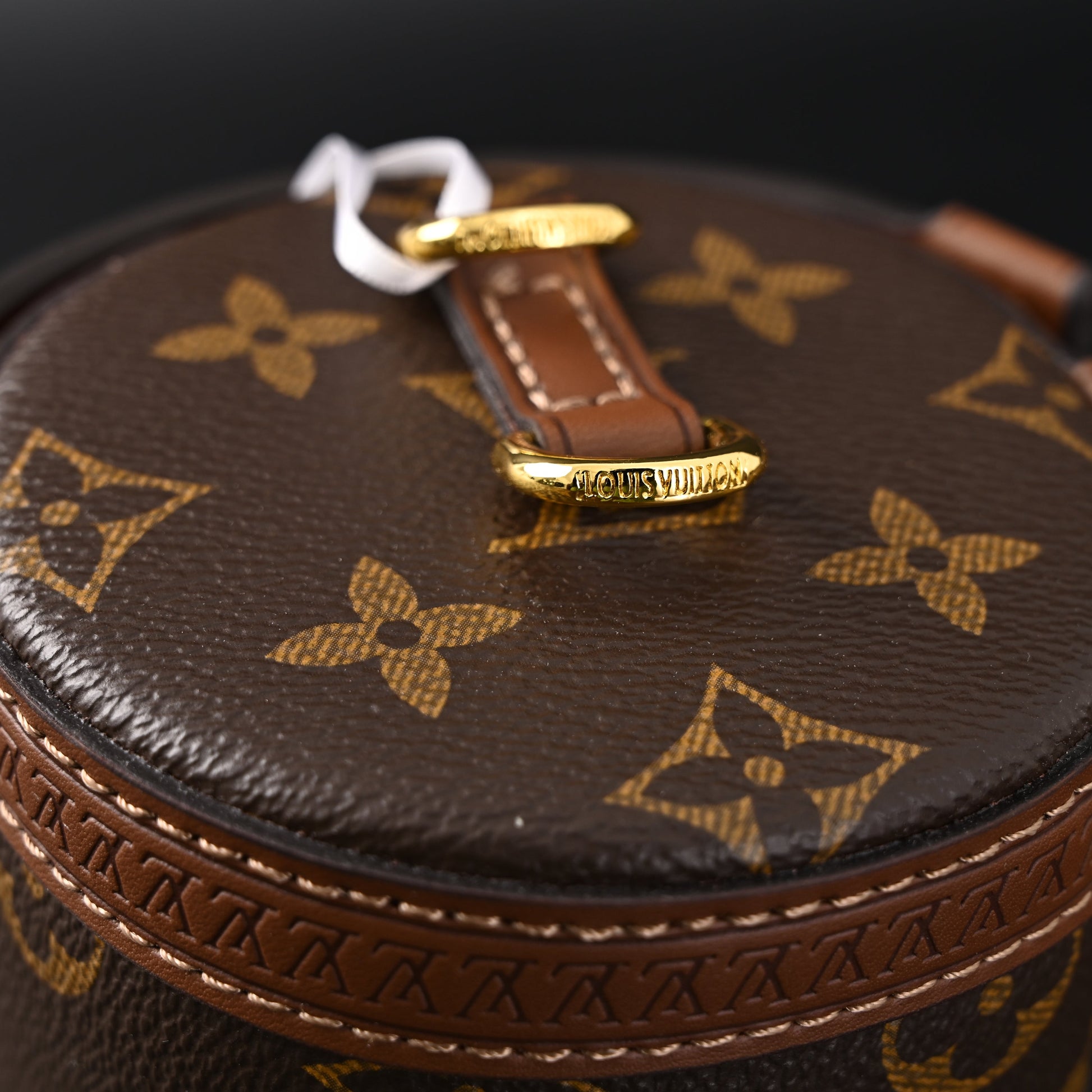 Louis Vuitton Cannes Monogram Canvas Bag