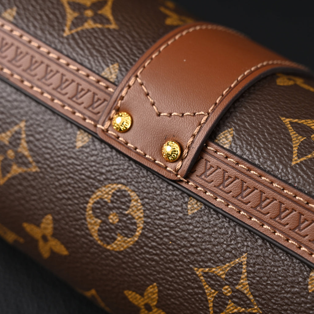 Louis Vuitton Cannes Monogram Canvas Bag
