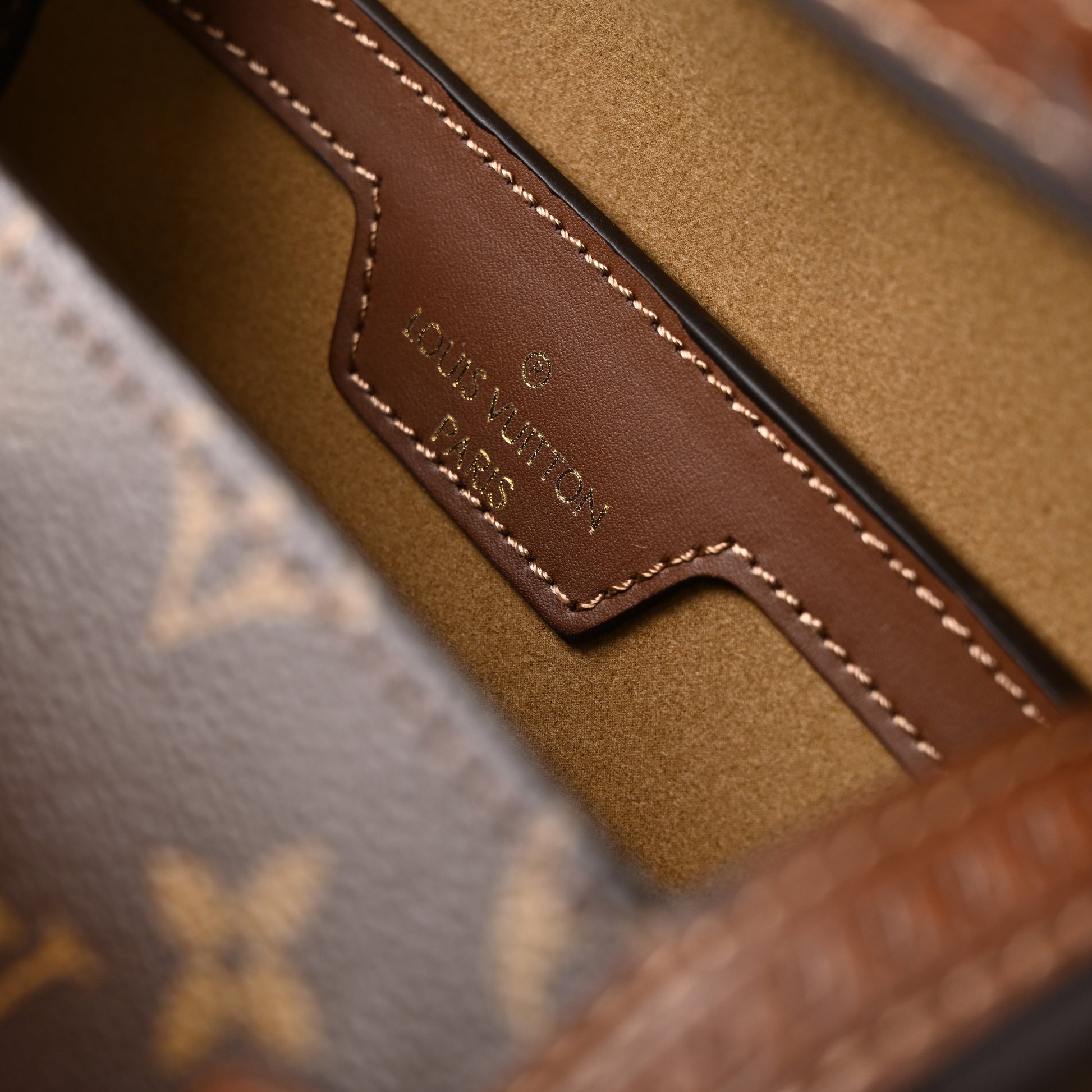 Louis Vuitton Cannes Monogram Canvas Bag