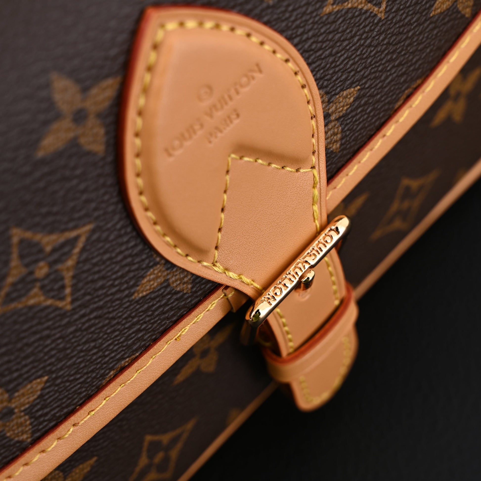 Louis Vuitton Croissant Bag Monogram Canvas