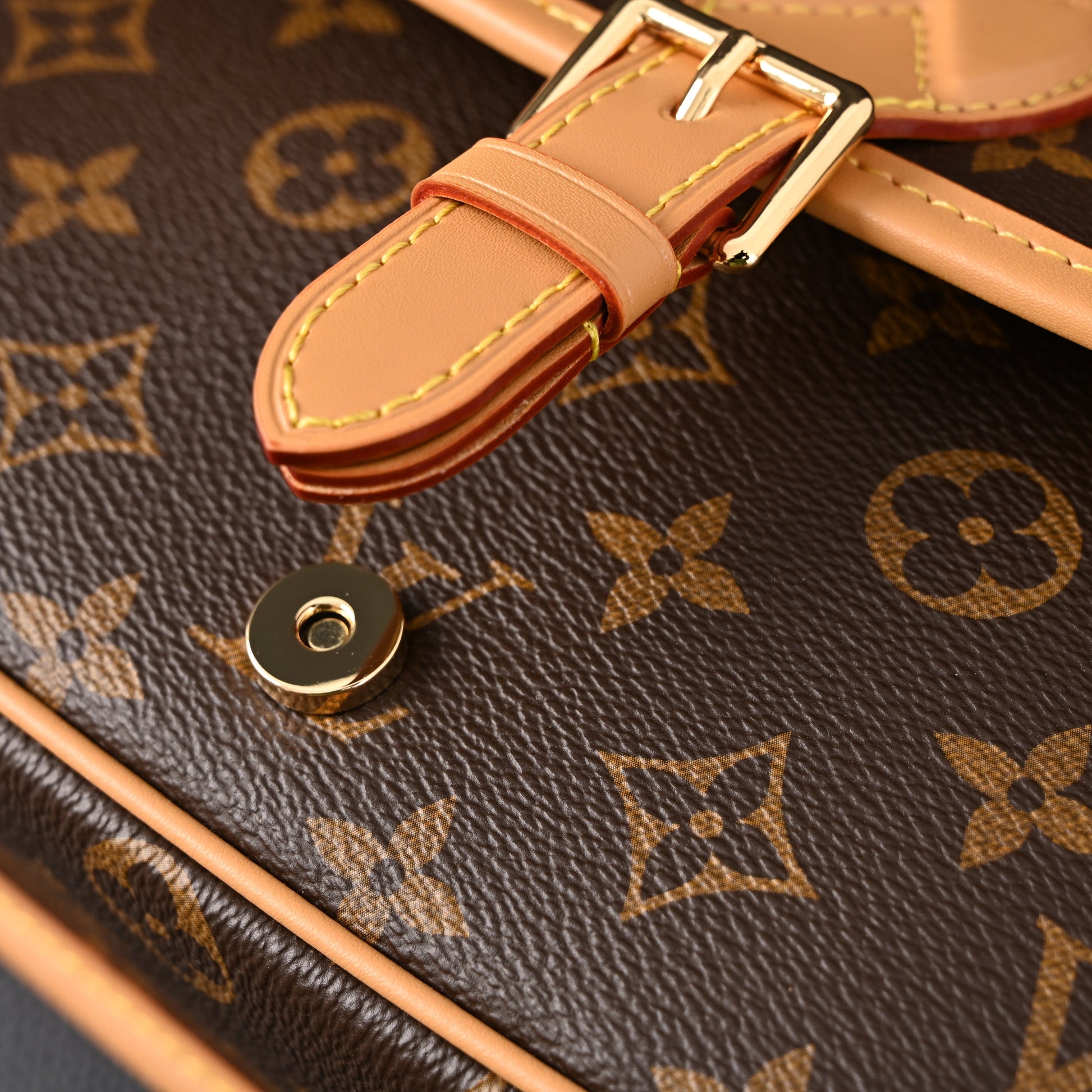 Louis Vuitton Croissant Bag Monogram Canvas