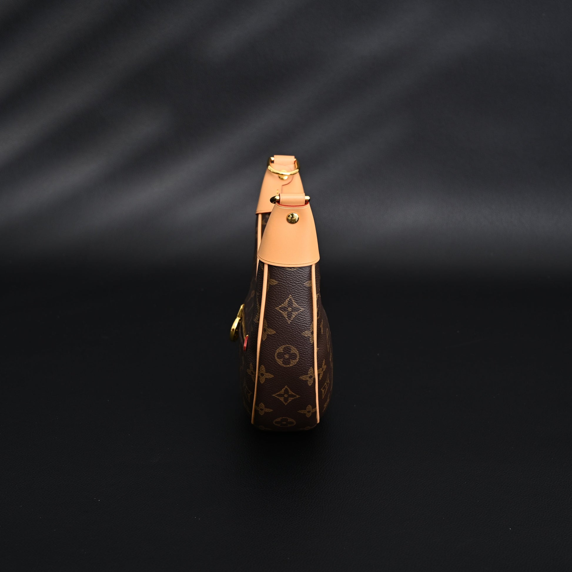 Louis Vuitton Loop Bag – Monogram Canvas with Gold Chain