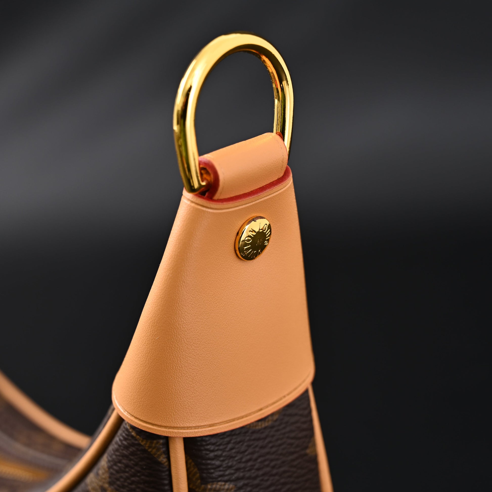 Louis Vuitton Loop Bag – Monogram Canvas with Gold Chain