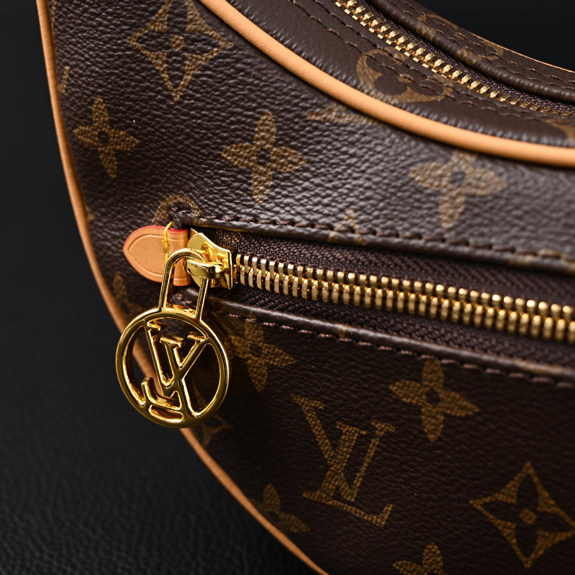 Louis Vuitton Loop Bag – Monogram Canvas with Gold Chain
