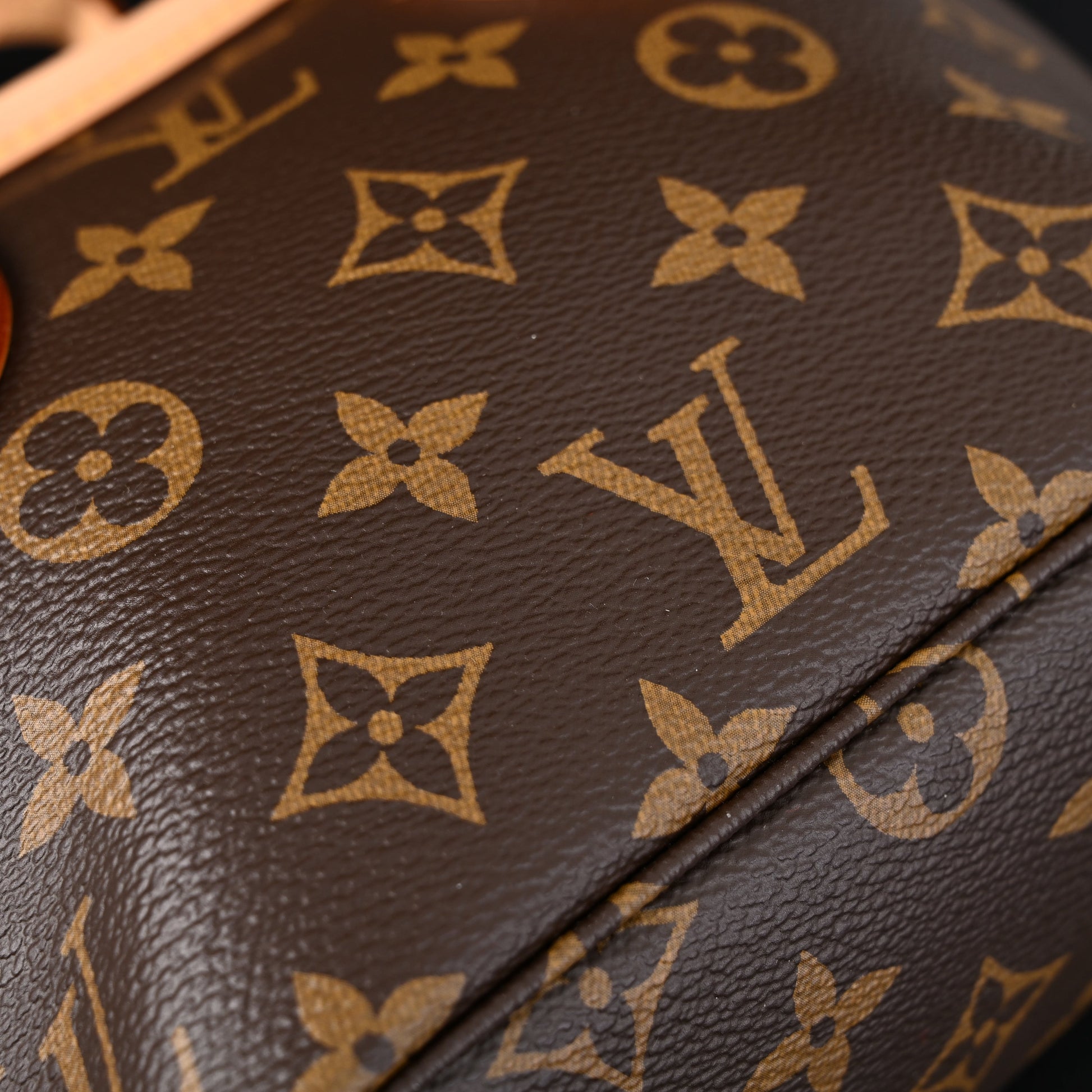 Louis Vuitton NeoNoe BB Bucket Bag – Monogram Canvas with Removable Coin Purse