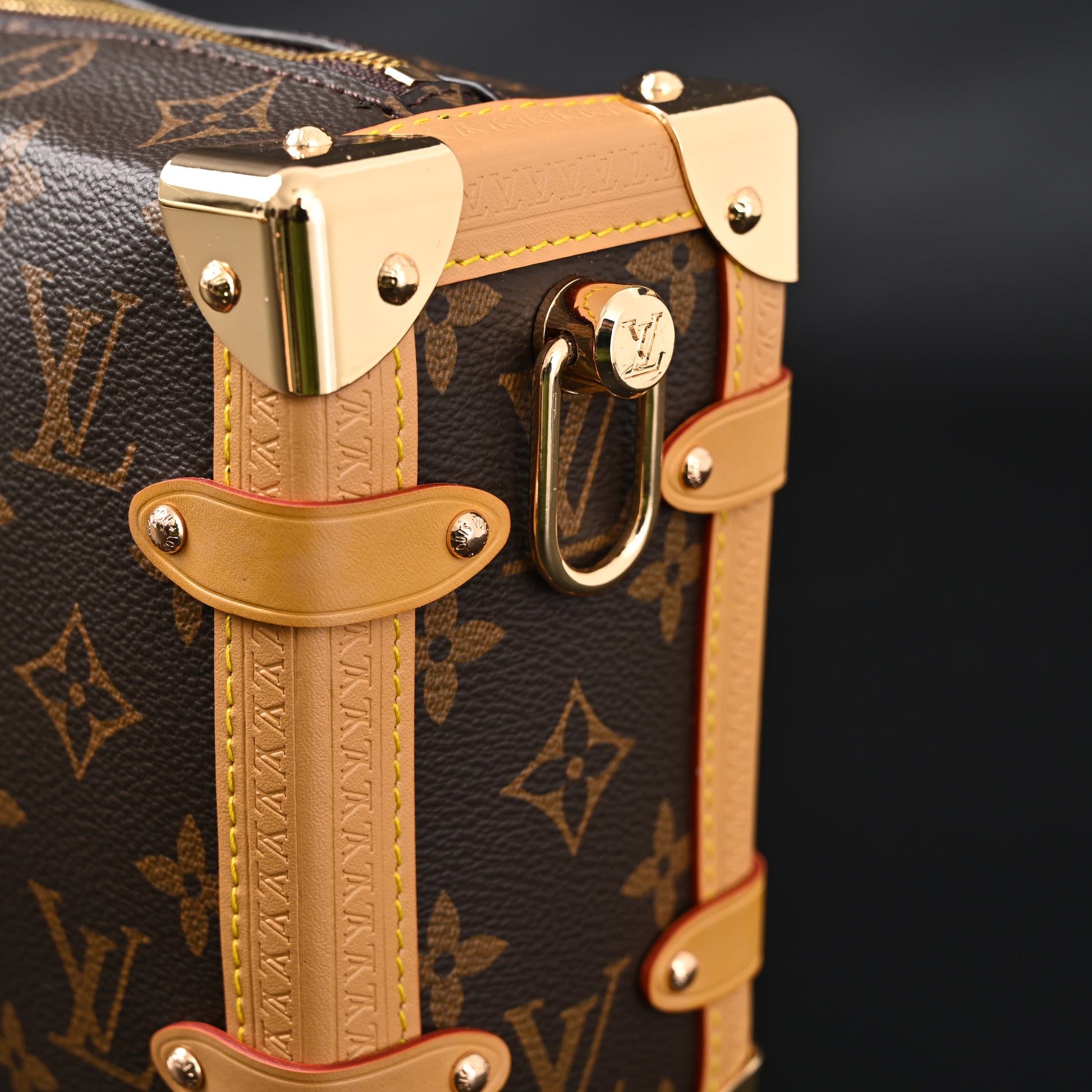 Louis Vuitton Cannes Trunk Bag – Monogram Canvas with Gold-Tone Hardware