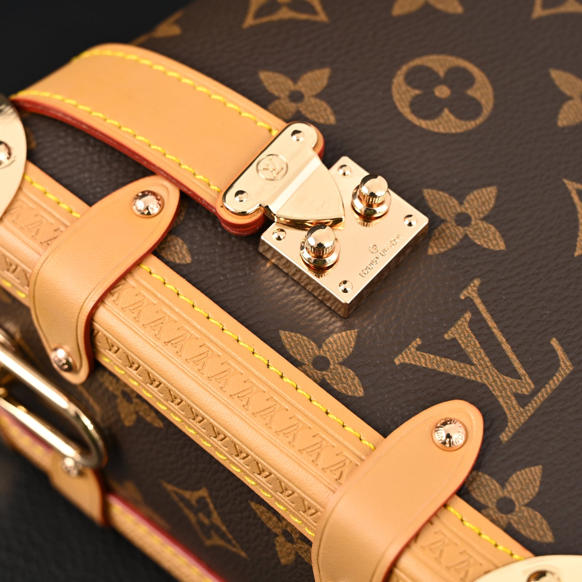 Louis Vuitton Cannes Trunk Bag – Monogram Canvas with Gold-Tone Hardware