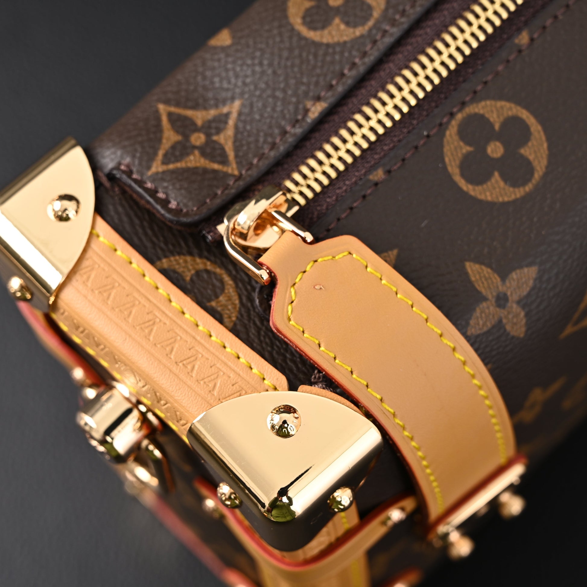 Louis Vuitton Cannes Trunk Bag – Monogram Canvas with Gold-Tone Hardware