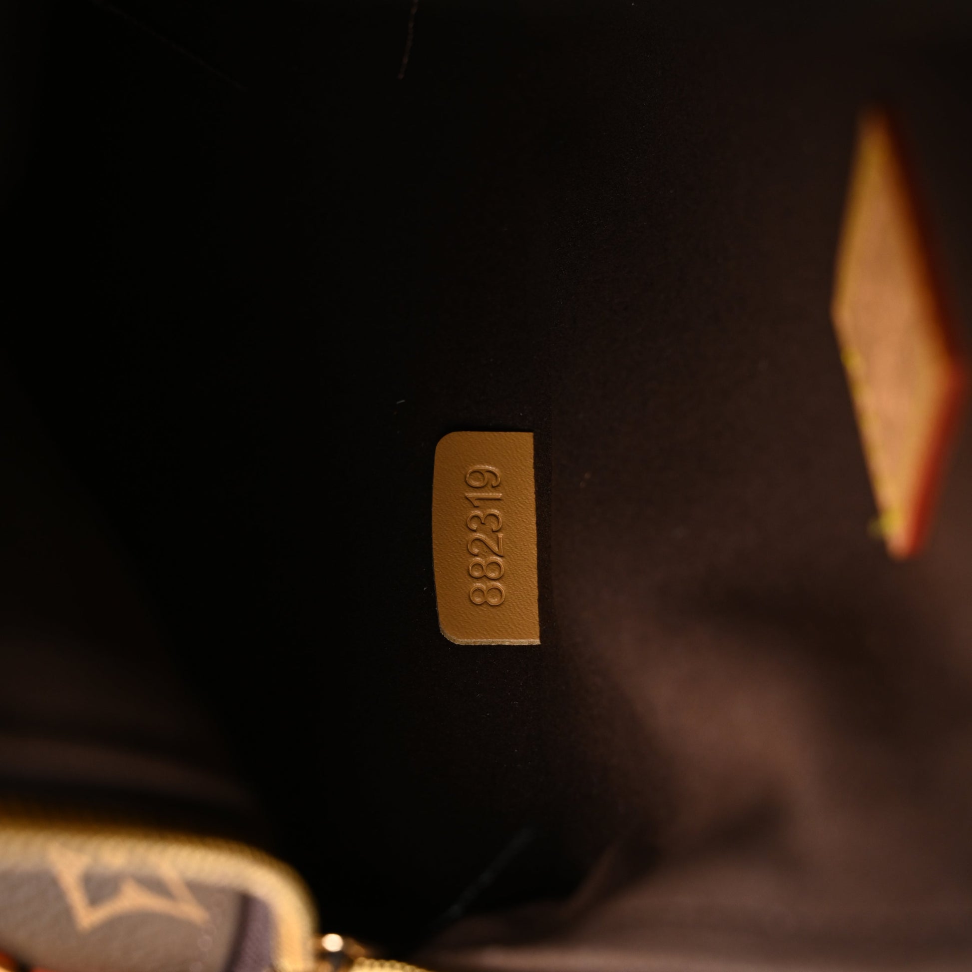 Louis Vuitton Cannes Trunk Bag – Monogram Canvas with Gold-Tone Hardware