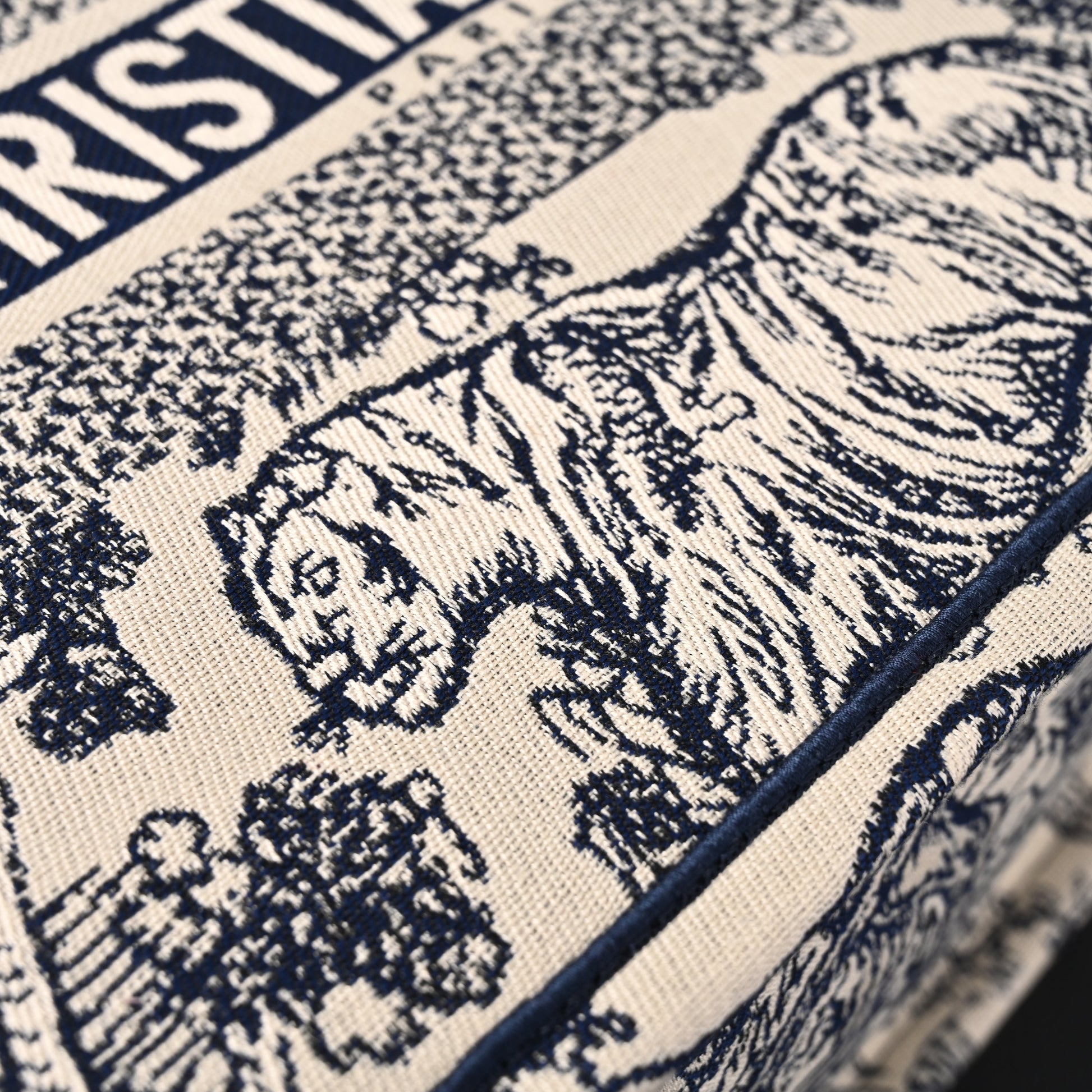 Dior Book Tote Bag – Blue Toile de Jouy Embroidery