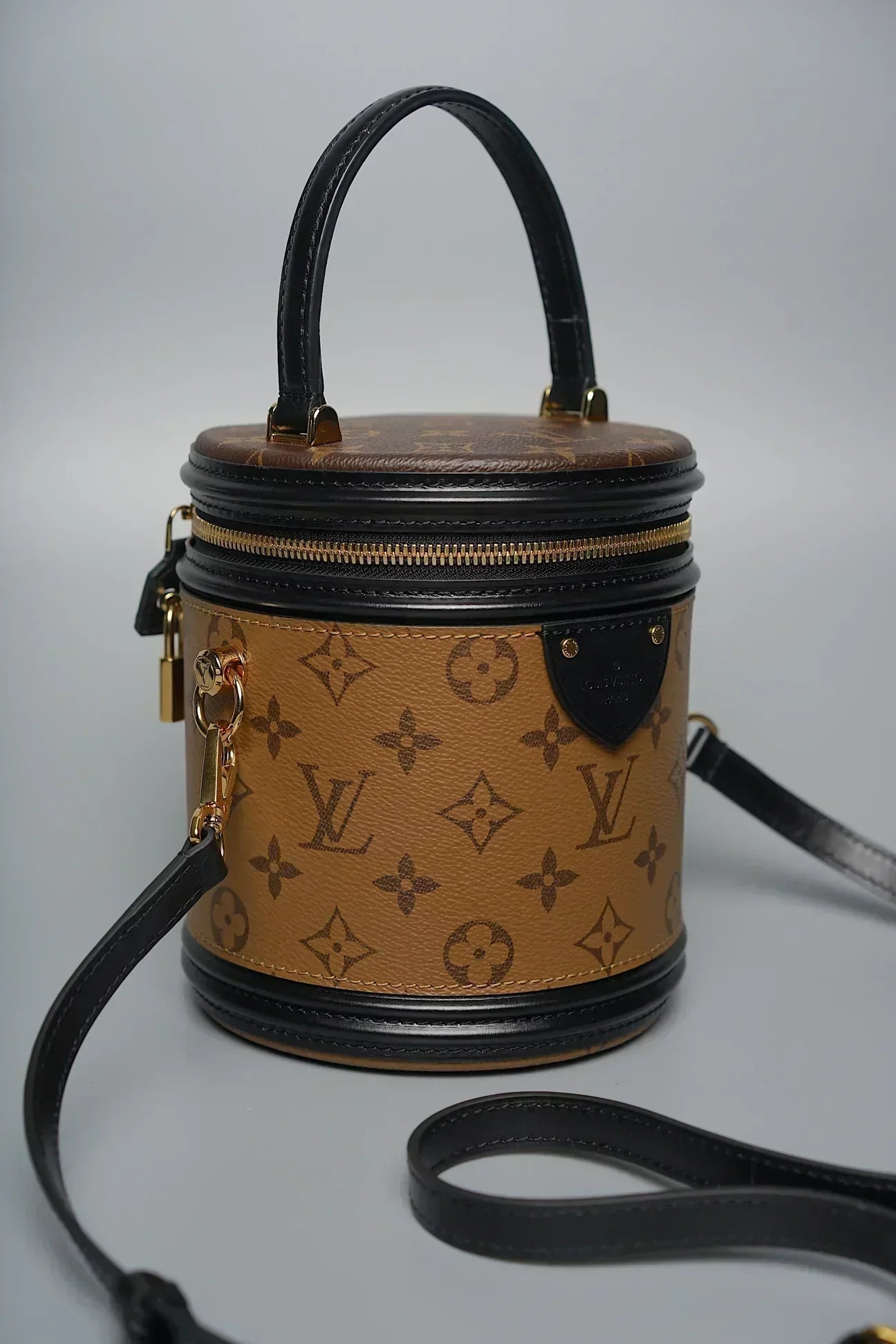 Louis Vuitton CANNES monogram canvas