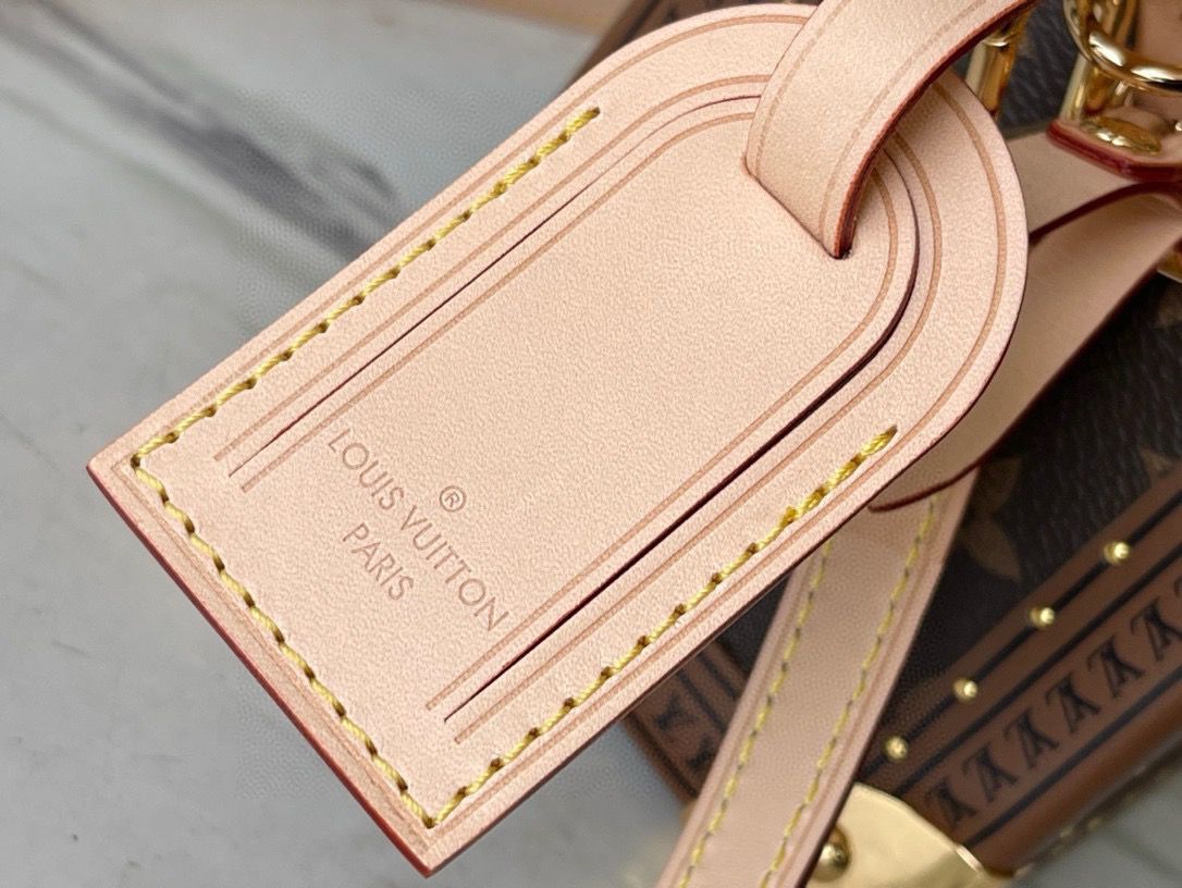 Louis Vuitton monogram box bag