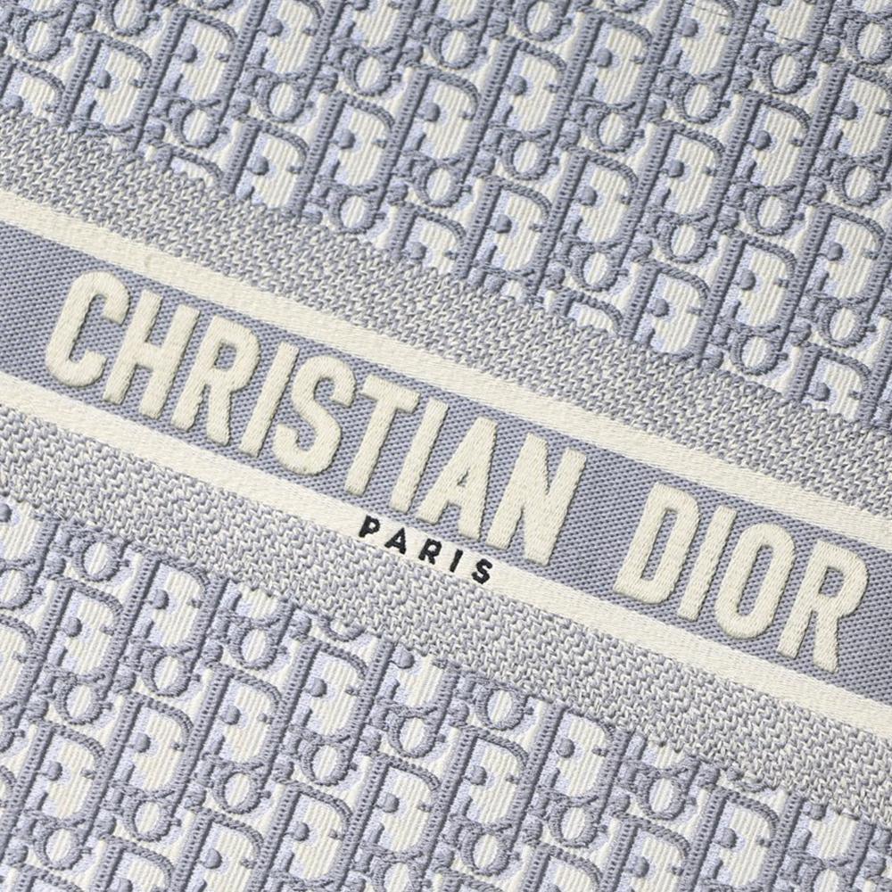 Dior Book Tote